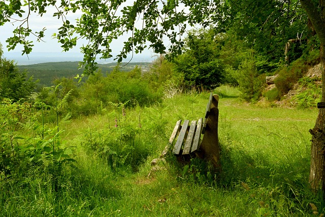 与赛季后期 与赛季后期