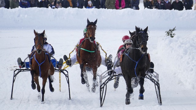 浦表现强势 浦表现强势