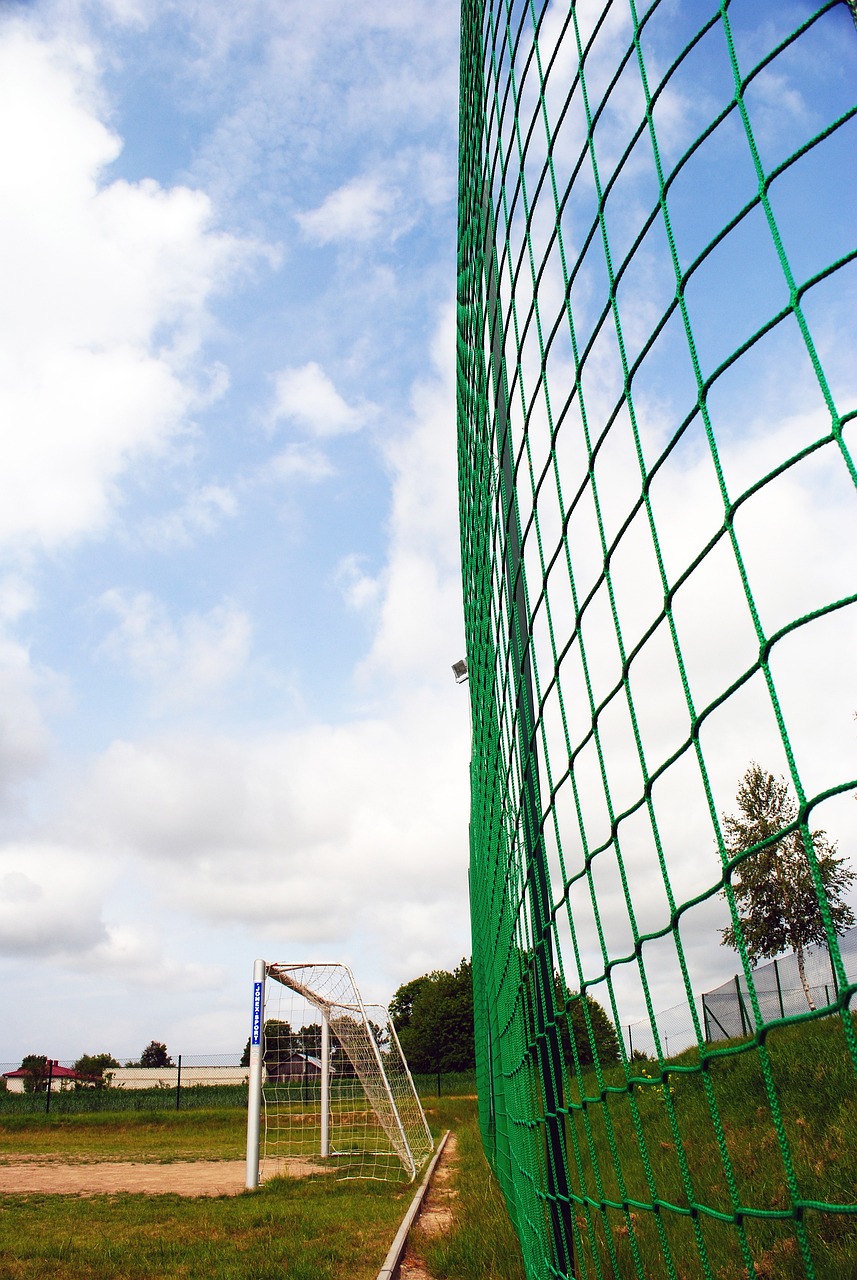 团队的凝聚 团队的凝聚