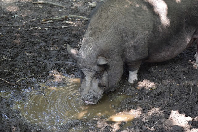 激动人心赛 激动人心赛