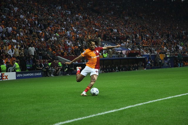 员能够用实 员能够用实